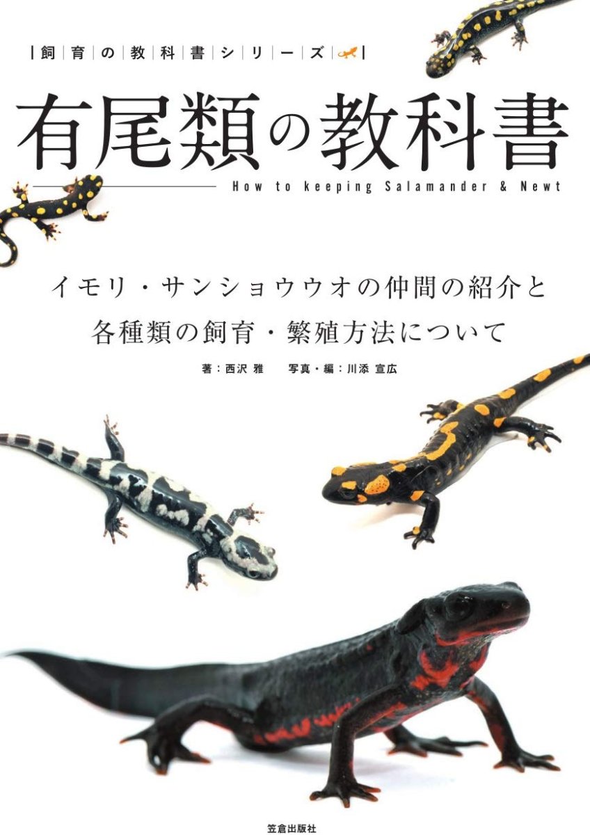 画像1: 有尾類の教科書 (1)