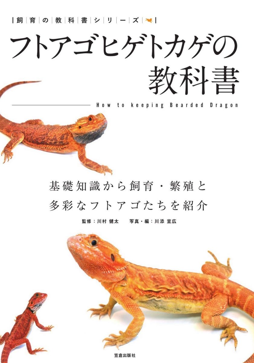 画像1: フトアゴヒゲトカゲの教科書 (1)
