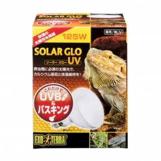 爬虫類　バスキングスロープ　16 71j9Y+J1XAL._UF894,1000_QL80_.jpg